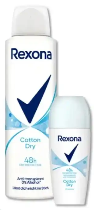 Budni Rexona Deo-Spray Angebot