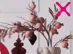 Mömax Dekozweig Pomegranate Angebot