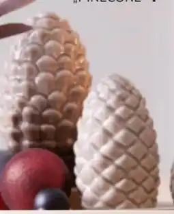 Mömax Tannenzapfen Pinecone Angebot
