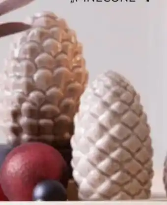 Mömax Tannenzapfen Pinecone Angebot
