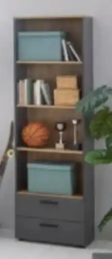 Mömax Regal Cadix Angebot