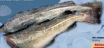 REWE Center Kabeljaufilet Angebot