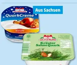 PENNY Sachsenland Quark Creme Angebot