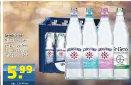 Getränke Arena Gerolsteiner gerolsteiner mineralwasser Angebot