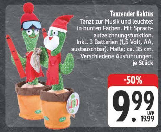 Tanzender kaktus Angebot bei Edeka