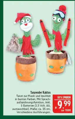 Marktkauf Tanzender kaktus Angebot