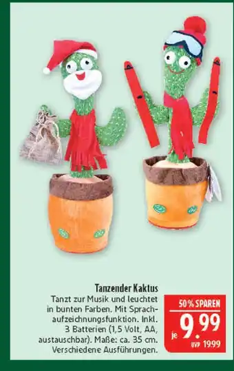 Marktkauf Tanzender kaktus Angebot