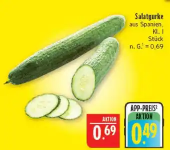 Marktkauf Salatgurke Angebot