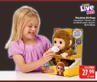 Marktkauf Little live pets mein kleiner affe mango Angebot