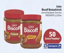 E-Center Lotus biscoff brotaufstrich Angebot