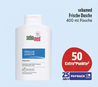 E-Center Sebamed frische dusche Angebot