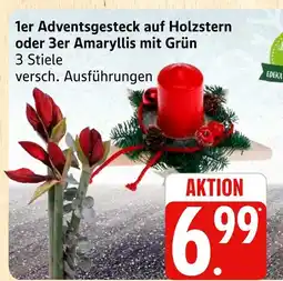 Marktkauf Adventsgesteck auf holzstern Angebot