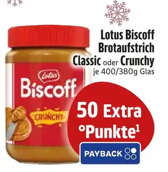 Edeka Lotus biscoff brotaufstrich classic oder crunchy Angebot