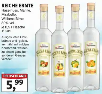 Lösch Depot REICHE ERNTE Haselnuss, Marille Angebot