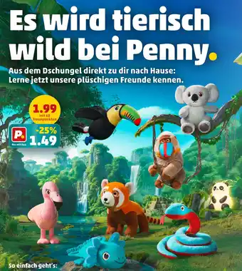 PENNY Tukan Angebot
