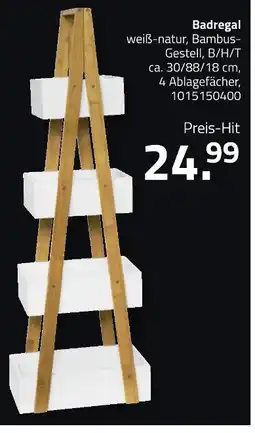 ROLLER Badregal Angebot