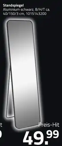 ROLLER Standspiegel Angebot