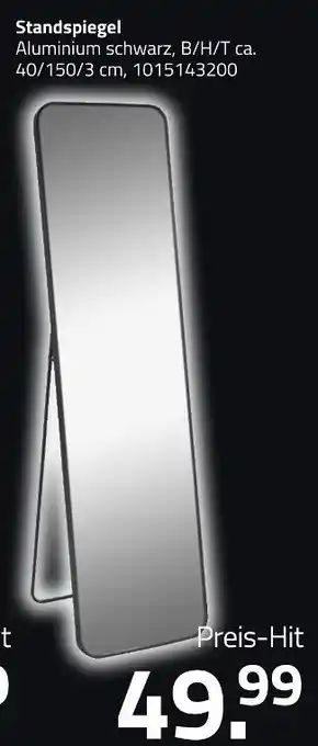 ROLLER Standspiegel Angebot