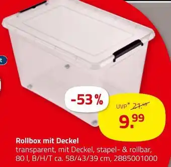 ROLLER Rollbox mit deckel Angebot