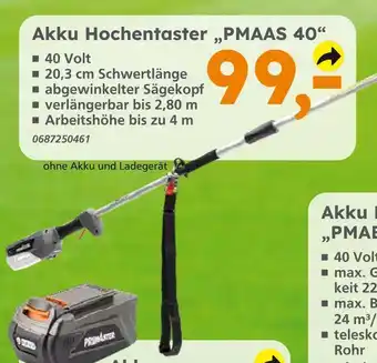 Globus Baumarkt Akku hochentaster pmaas 40 Angebot