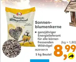 Globus Baumarkt Elles sonnenblumenkerne Angebot
