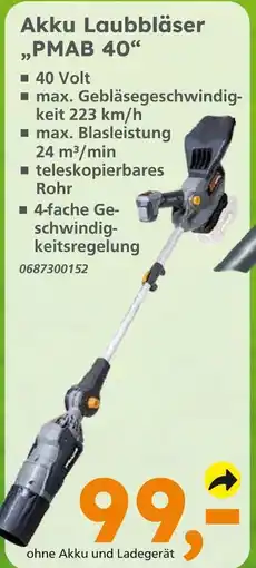 Globus Baumarkt Akku laubbläser „pmab 40“ Angebot