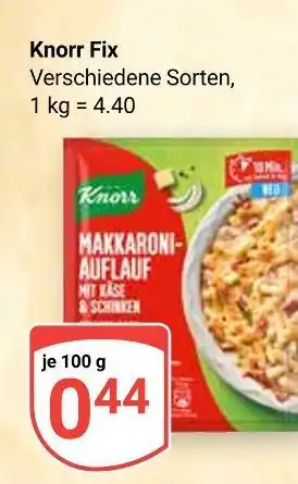 Globus Knorr makkaroni-auflauf Angebot
