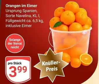Globus Orangen im eimer Angebot