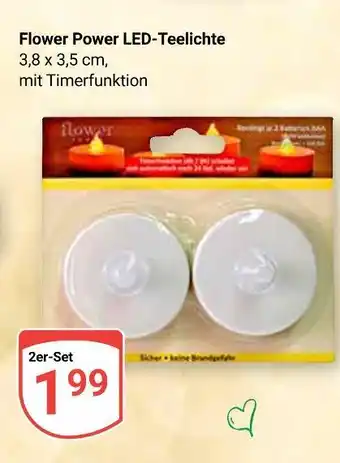 Globus Flower power led-teelichte Angebot