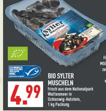 Marktkauf Bio sylter muscheln Angebot