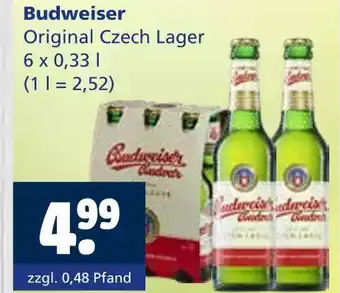Getränkewelt Budweiser original czech lager Angebot
