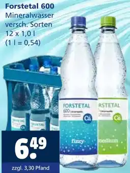 Getränkewelt Forstetal 600 fizzy Angebot
