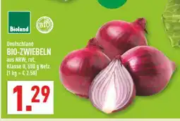 Marktkauf Bioland bio-zwiebeln Angebot