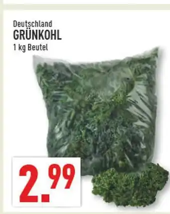 Marktkauf Grünkohl Angebot