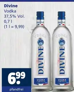 Getränkewelt Divine vodka Angebot