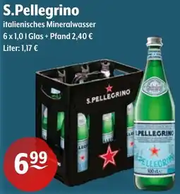 Getränke Hoffmann S.Pellegrino italienisches Mineralwasser Angebot