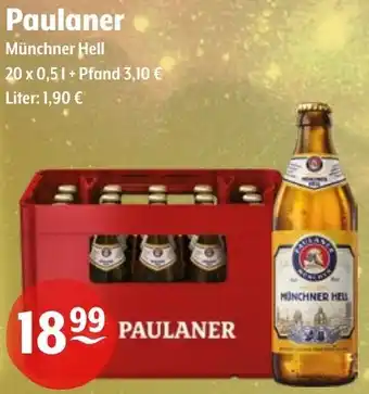 Getränke Hoffmann Paulaner Münchner Hell Angebot