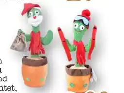 Scheck-in-Center Tanzender Kaktus Angebot