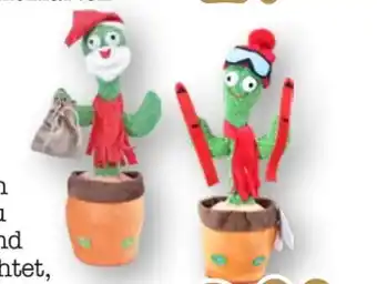 Scheck-in-Center Tanzender Kaktus Angebot