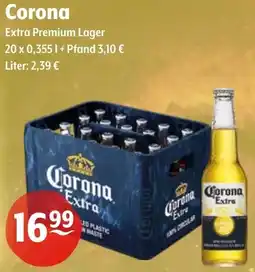 Getränke Hoffmann Corona Extra Premium Lager Angebot