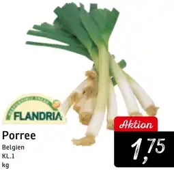 KONSUM FLANDRIA Porree Angebot