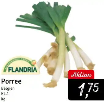 KONSUM FLANDRIA Porree Angebot