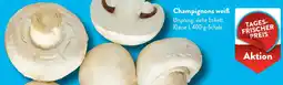 Aldi Süd Champignons weiß Angebot