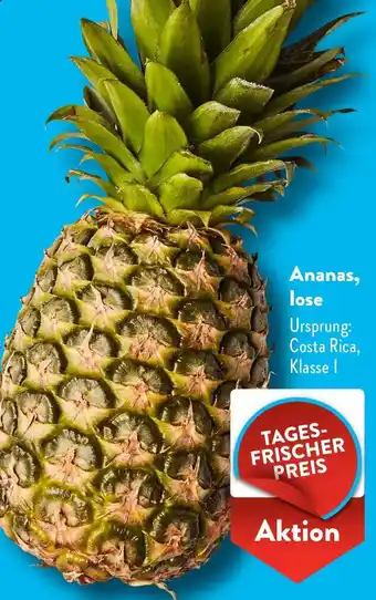 Aldi Süd Ananas, lose Angebot