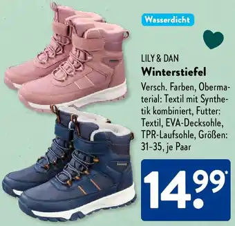 Aldi Süd LILY & DAN Winterstiefel Angebot