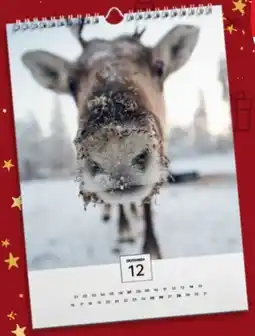 Kaufland Wandkalender A4 Angebot