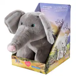 Netto Marken-Discount HEUNEC Elefant - vom Aussterben bedrohtes Tier Angebot