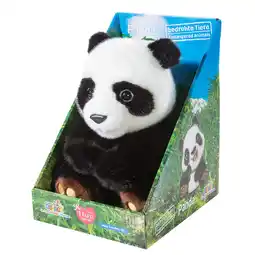 Netto Marken-Discount HEUNEC Panda - vom Aussterben bedrohtes Tier Angebot