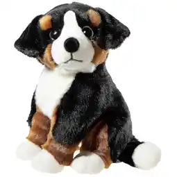 Netto Marken-Discount HEUNEC ALPENWELT Sennehund Angebot