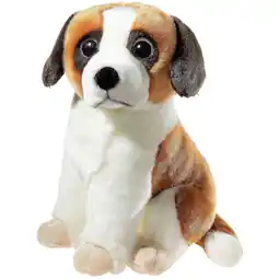 Netto Marken-Discount HEUNEC ALPENWELT St.Bernhard Angebot